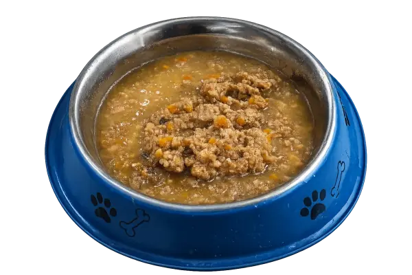 Kukky wet food served in a blue dog bowl