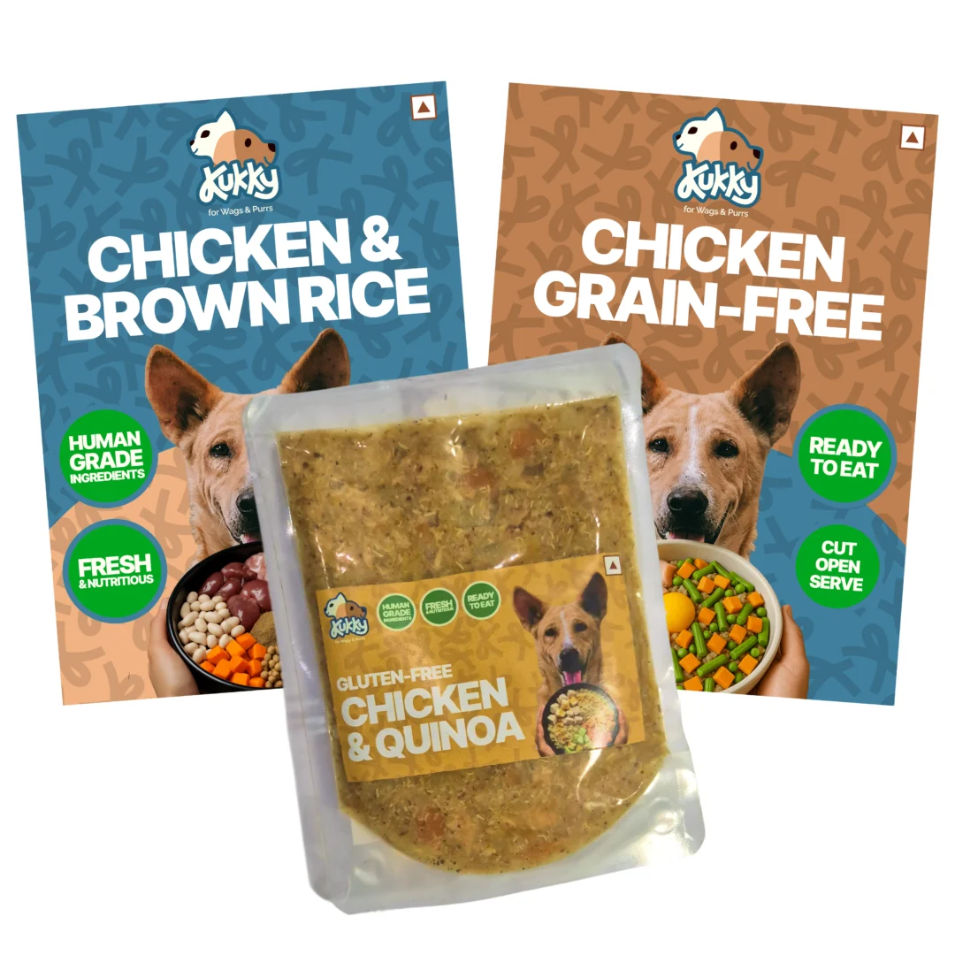 Chicken Meal Combo | Chicken Brown Rice, Chicken Grain Free, Chicken Quinoa | Pack of 3 |100 g
