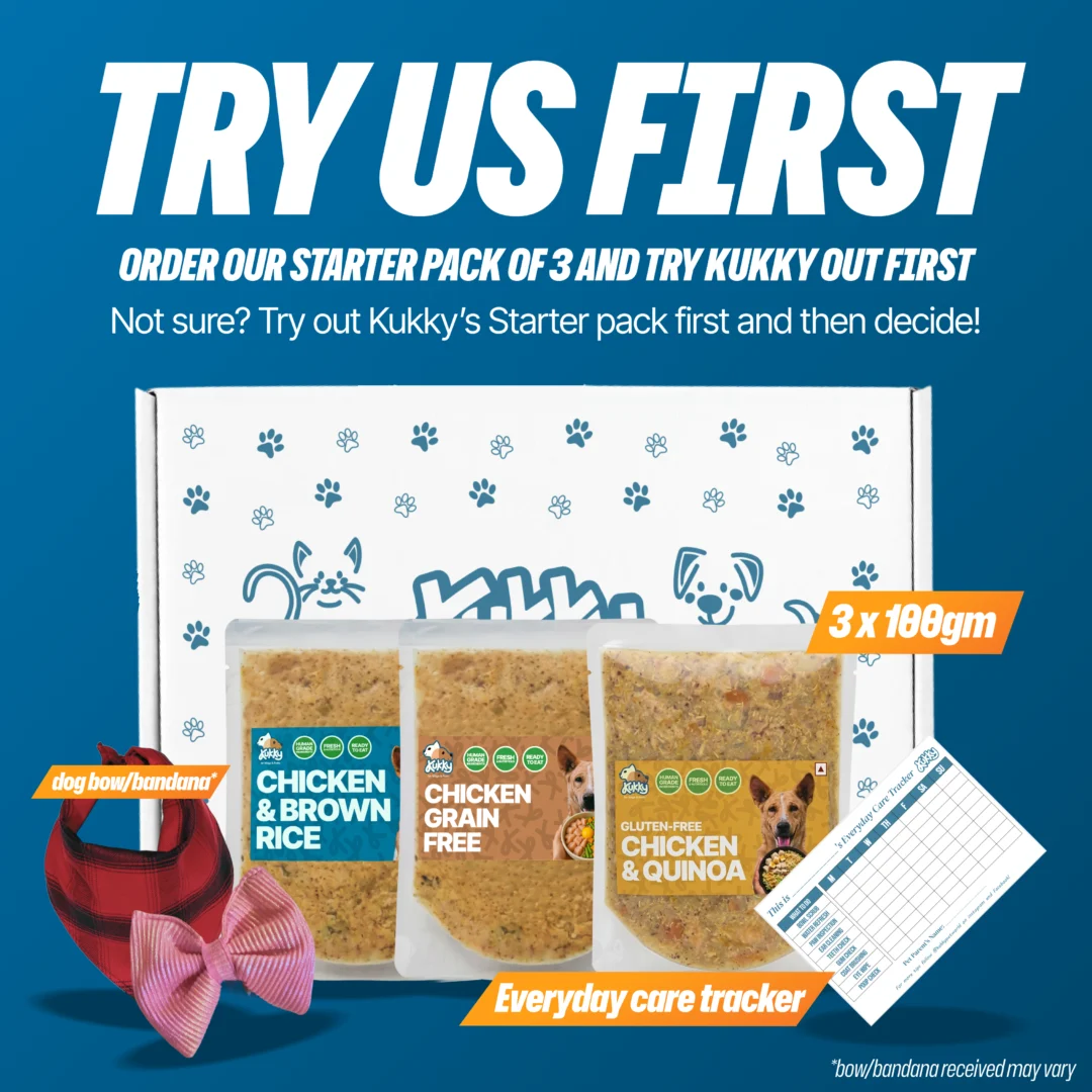 Chicken Meal Combo for Dogs | 3 x 100g Wet Dog Food Pack
