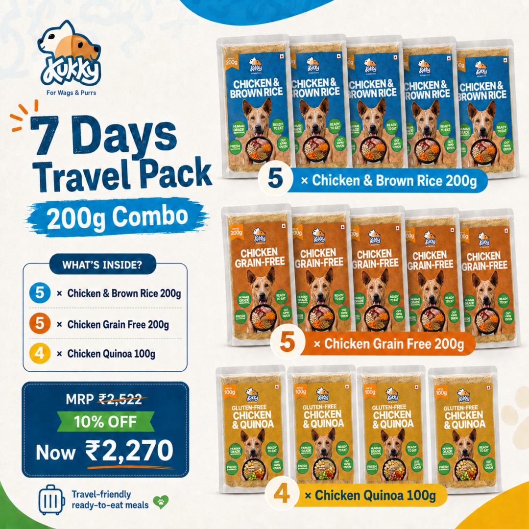 Kukky 7 Days Travel Pack for Dogs – 10 × 200g + 4 × 100g Ready-to-Eat Chicken Wet Meals