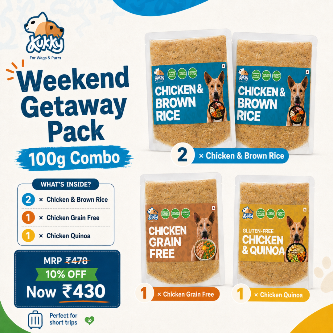 Kukky Weekend Getaway Pack for Dogs – 4 × 100g Ready-to-Eat Chicken Wet Meals