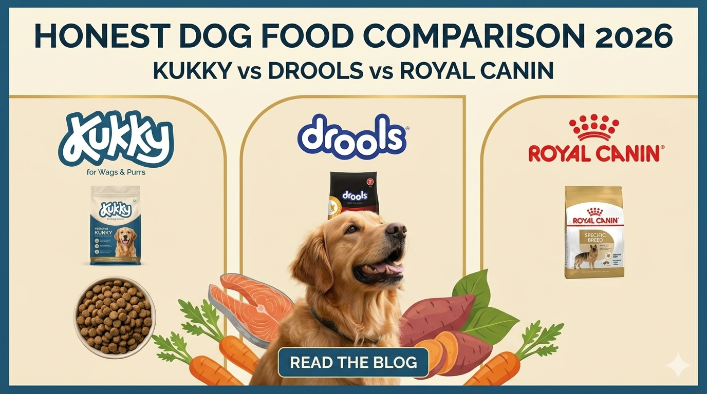 Kukky vs Drools vs Royal Canin - Honest Dog Food Comparison 2026