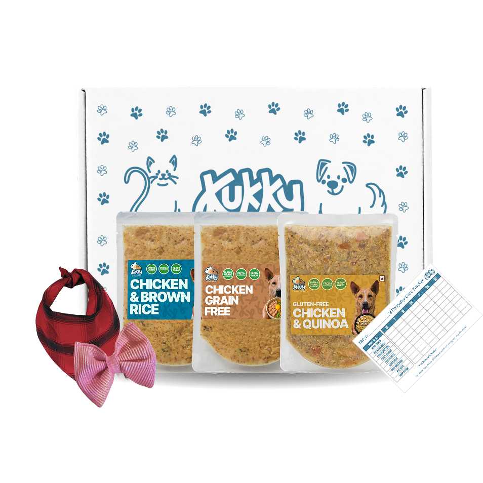 Kukky starter packs advertisement showing five starter pack options with free gifts