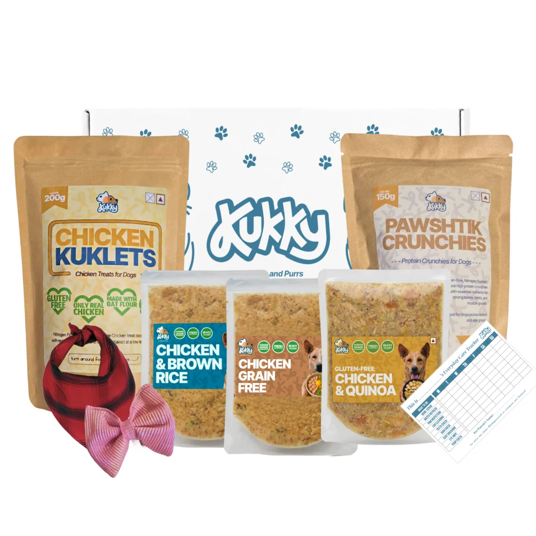 Chicken Meal Combo Starter Pack with Treats