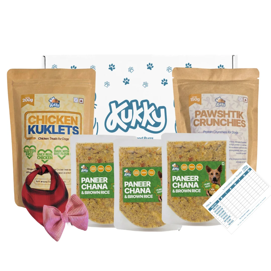 Paneer Chana Brown Rice Meal and Treat Starter Combo